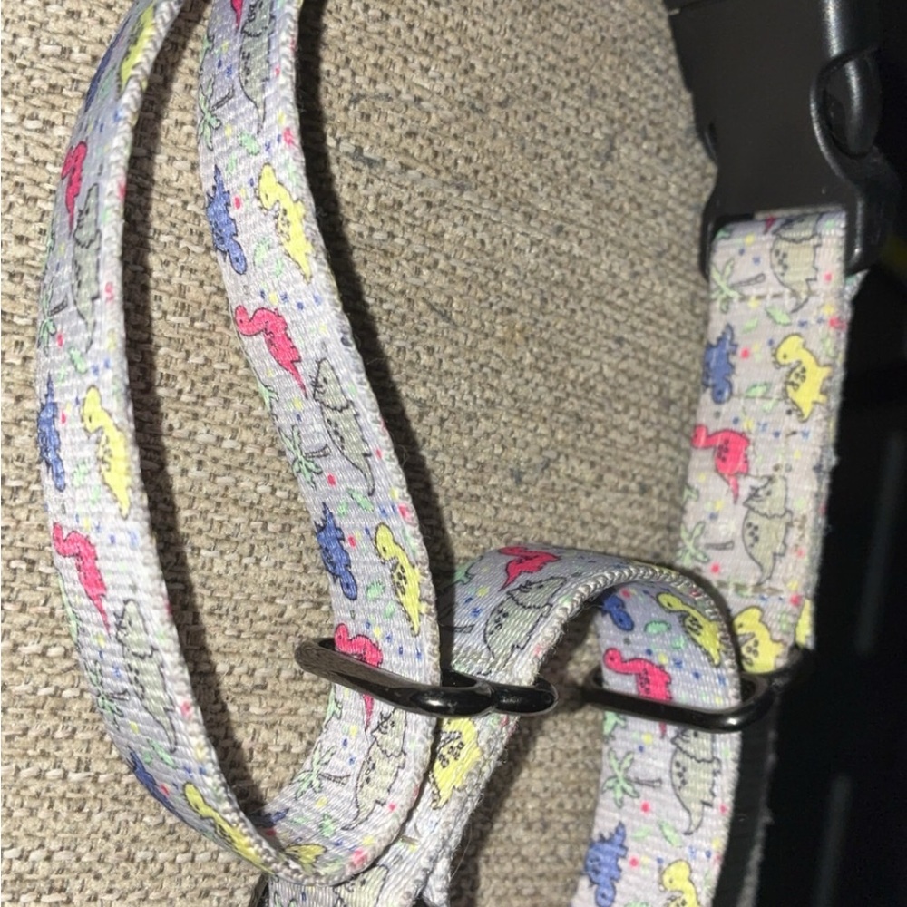 Colorful Dinosaur Print Martingale Dog Collar (LARGE)